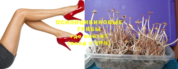 крисы Армянск