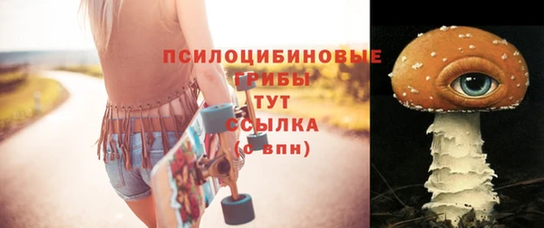 крисы Армянск